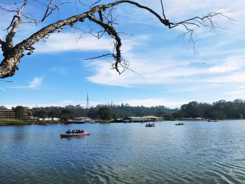 7gholidaysbala, Kodaikanal Taxi travels