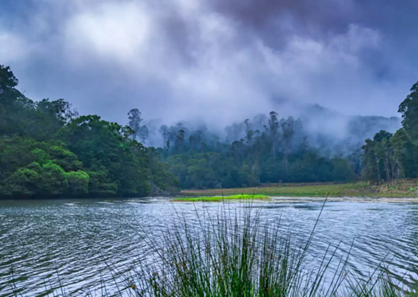 7gholidaysbala, Kodaikanal-tours-and-travels