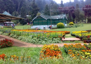 7gholidaysbala, Kodaikanal Cab Services